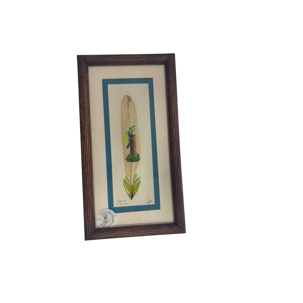 Costa Rica Hand Painted Feather Art Frog Signed 2009 Framed Folk Art 13.5x6.5